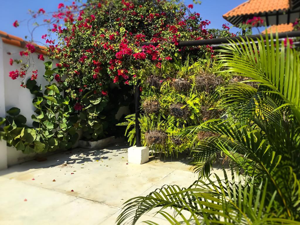 Casa Ines Bed and Breakfast Santa Marta  Exterior foto